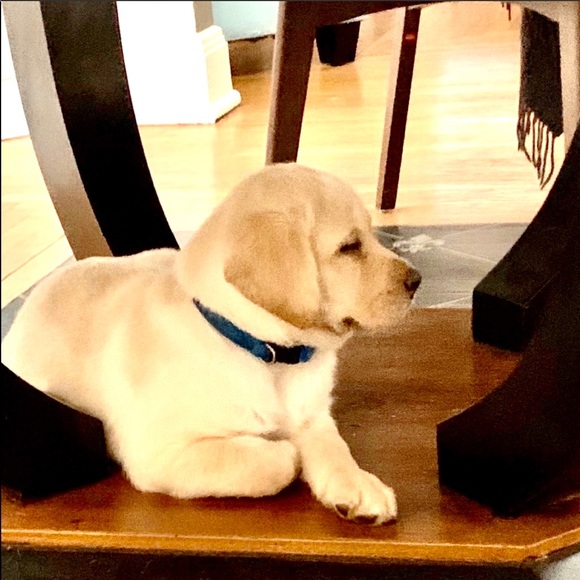 New sidekick trip to the lake .... - Picture 8 of 13